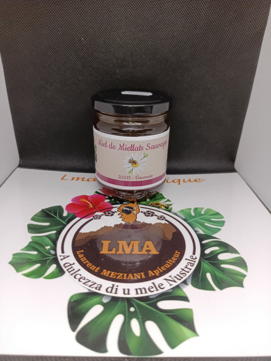 Miel de Miellats sauvage